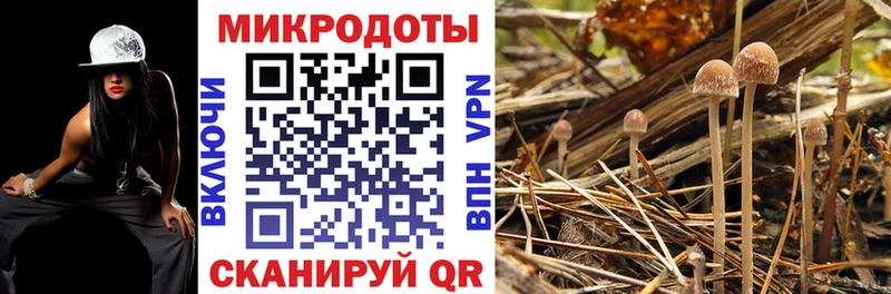 Галлюциногенные грибы Cubensis  Купить  Приморско-Ахтарск 